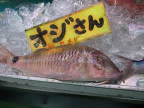 おばさん魚|「オバサン」と呼ばれる水産物一覧 ｜ 市場魚貝類図鑑 呼び名D